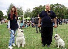 DRESAJ CANIN  IEFTIN!RATE