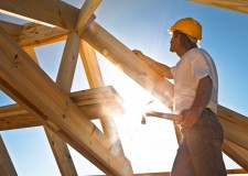 Cautam dulgher Olanda