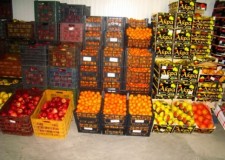 Cautam personal depozit fructe si legume