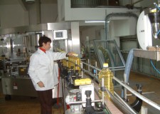 Angajam personal fabrica ulei Olanda