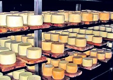 Angajez personal ambalat cascaval in Germania