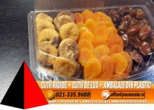 Caserola 3 compartimente (model 4121) - Cutii Rigide