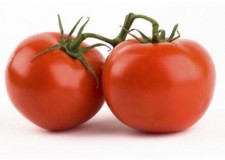 Angajam persoane pentru cules rosii in Spania