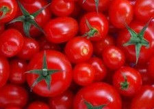 Angajez persoane pentru cules rosii in Germania