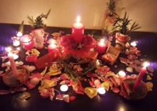 Prezicatoare tarot, tamaduitoare