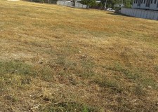 vanzare teren intravilan construibil in sector 5