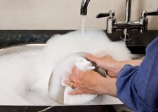 Angajez personal spalat vase Germania