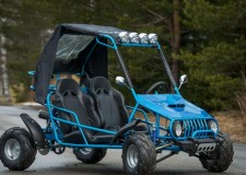 Buggy 125cc â€“ 2 Locuri import germania 2020