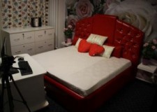 Modele- conferinte online