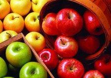 Angajez personal sortat de mere Germania