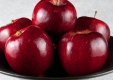 Angajez personal sortat de mere Germania