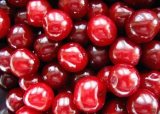 Reduceri preturi!!!! - Vand pomi fructiferi altoiti certificati