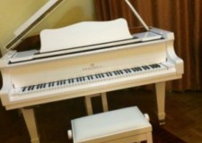 Vanzari Piane si Pianine Noi si Second Hand