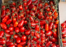 Angajez personal cules rosii Germania