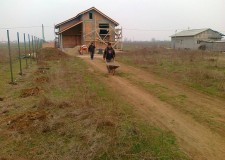 Vand teren intravilan in Com. Ciorogarla