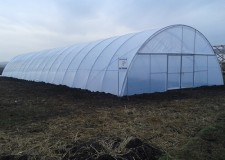 Solarii pt legume si flori model Ungaria ieftine