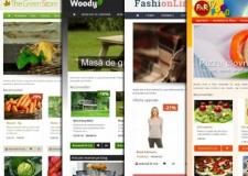 Magazine online, site-uri de prezentare 120 EURO