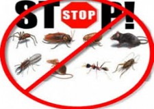 Servicii de dezinsectie, dezinfectie ,deratizare