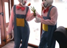 Mascota Iepuras de Paste Constanta  0728955745