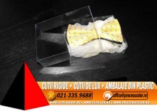 Ambalaj plastic papioane - Cutii Rigide