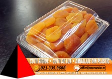 Caserola cu capac din plastic transparent (model 4097) - Cutii Rigide