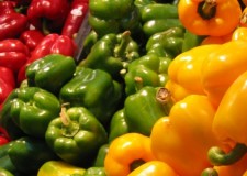 Angajez personal sortare/ambalare ardei in hale Germania