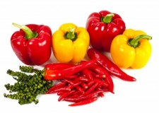 Angajez personal sortare/ambalare ardei in hale Germania