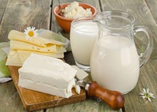 fabrica de lactate germania