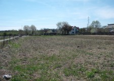 Teren intravilan in suprafata de 2.267 mp, Zavoi, sat Valea Mare