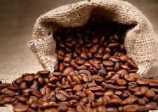 Angajam personal necalificat ambalare cafea Spania