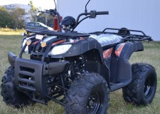 Atv Alfarad AD LION 200cc EURO 4