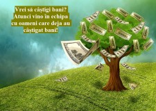 Oferta noua in anul 2017.