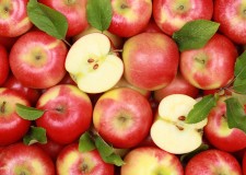 Angajez personal sortat mere in Germania