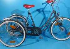 Tricicleta ortopedica second hand Wulfhorst 24/24