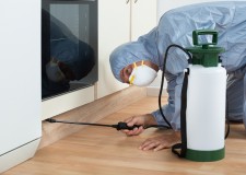 Deratizare Dezinsectie  Bucuresti