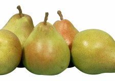 Angajez personal cules pere in Germania