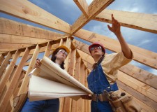 Angajam dulgheri Olanda