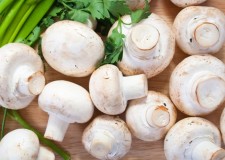 Angajez personal cules ciuperci in sere Germania