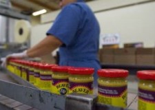 Angajez necalificati fabrica de mustar