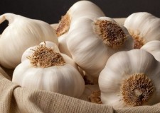 Angajam personal sortare si ambalare de usturoi