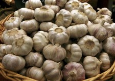 Angajez personal sortare si ambalare de usturoi