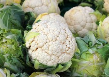 Angajez personal cules varza si conopida Germania