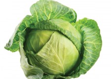 Angajez personal cules varza si conopida Germania