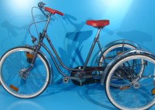 Tricicleta ortopedica second hand Wulfhorst 24/24