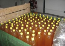 Angajez personal fabrica de sucuri naturale Germania