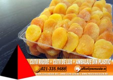 Caserola 2 compartimente (model 4072) - Cutii Rigide