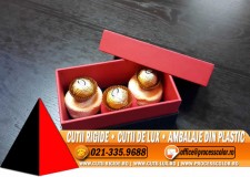 Cutii cu gat din carton dur - Cutii Rigide