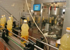 Angajez necalificati fabrica de ulei Germania