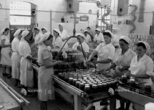 fabrica de conserve Germania