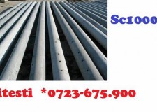 stalpi electrici SE4 SC 10001